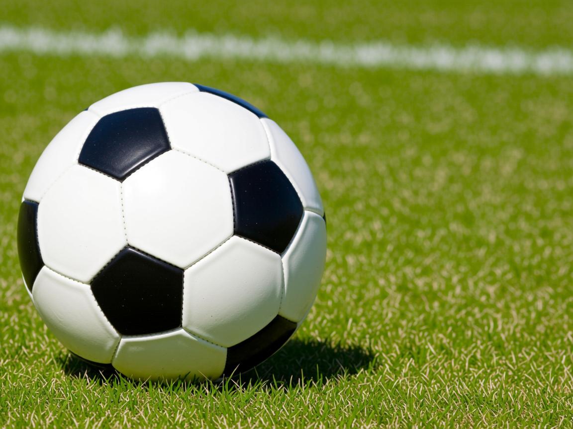 开云官网-中国香港队赛制解析：团体赛制下的战略调整与技术应用，香港队伍  第2张